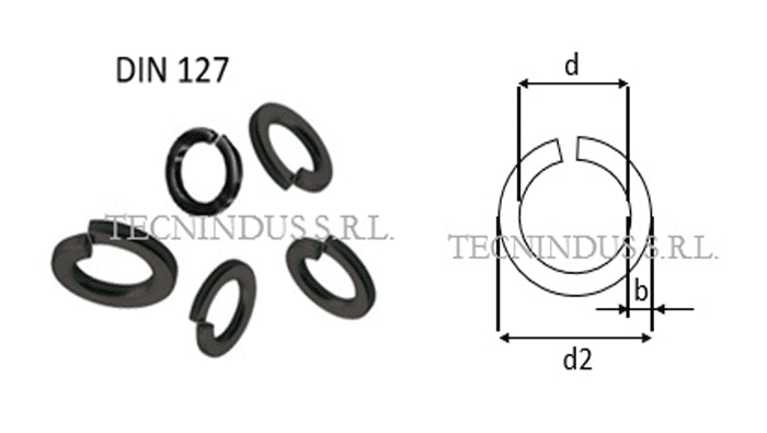 Platillos elasticos